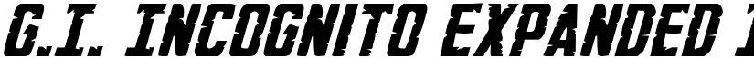 G.I. Incognito Expanded Italic Expanded Italic font