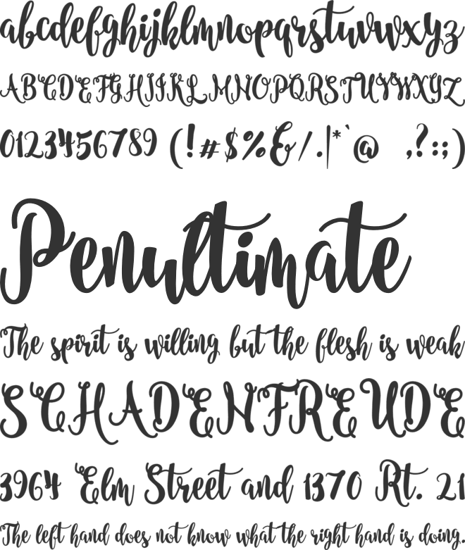 saila nurissalma font preview