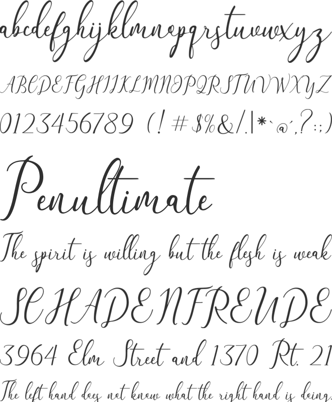 The Himalaya font preview