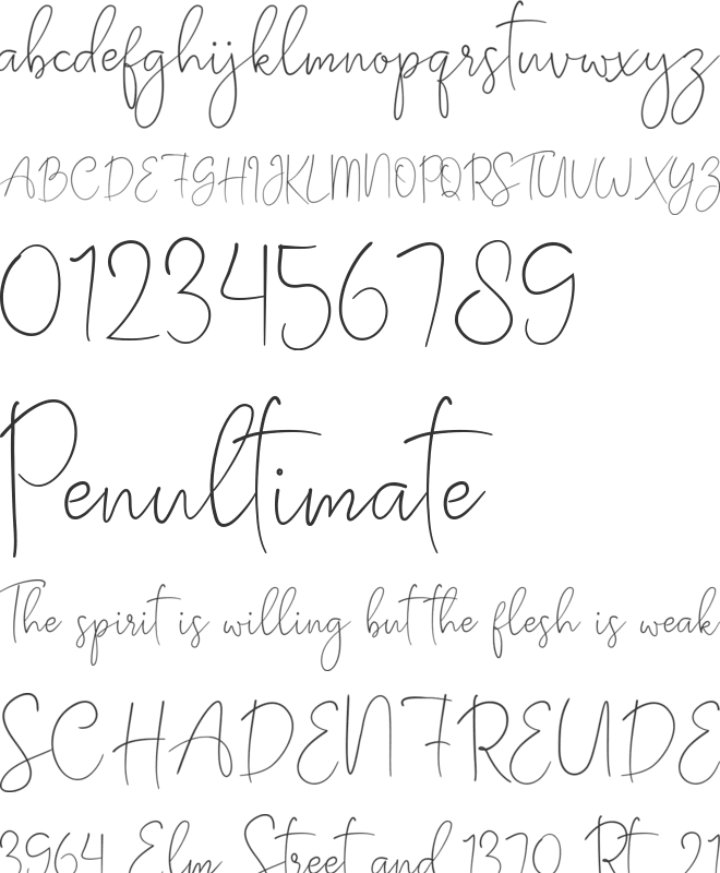 South Boston font preview