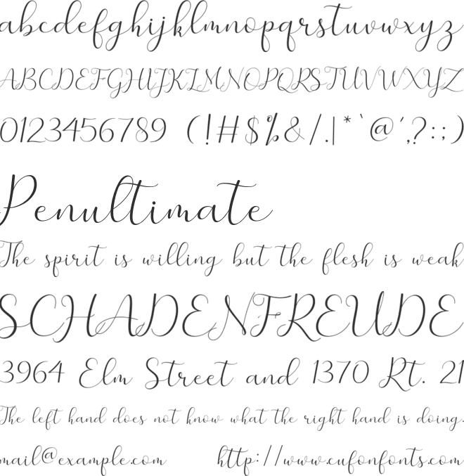 merlin font preview