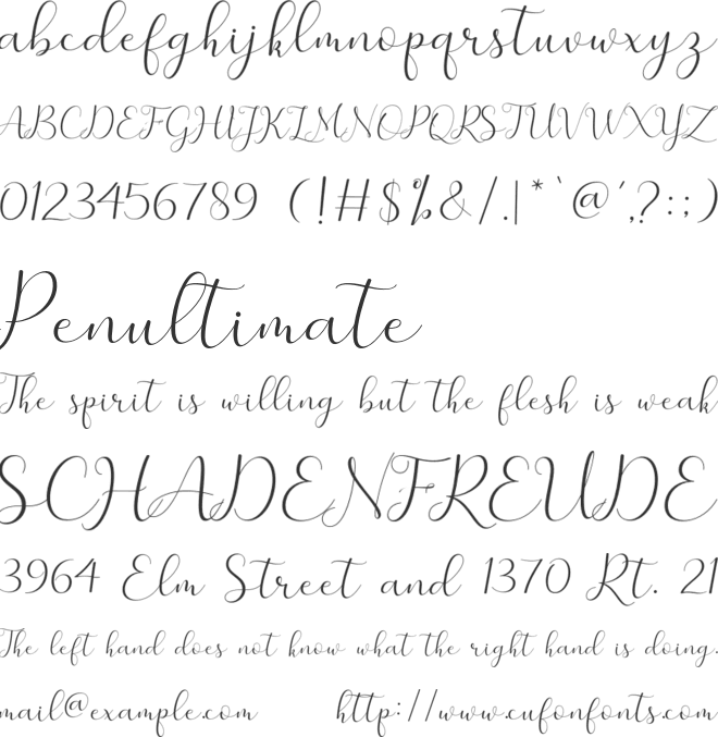 merlin font preview