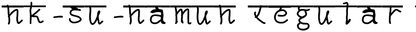 nk-su-namun Regular font