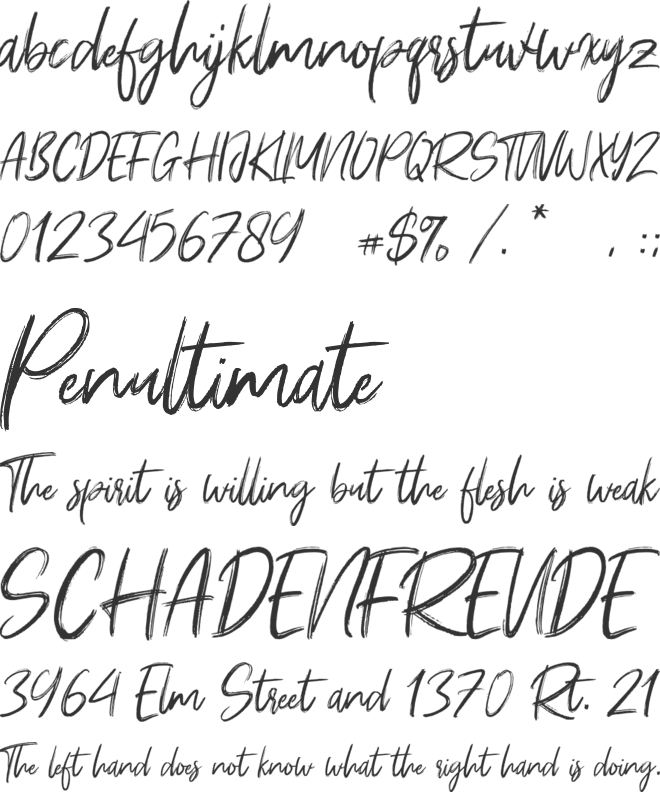 Young Robust font preview