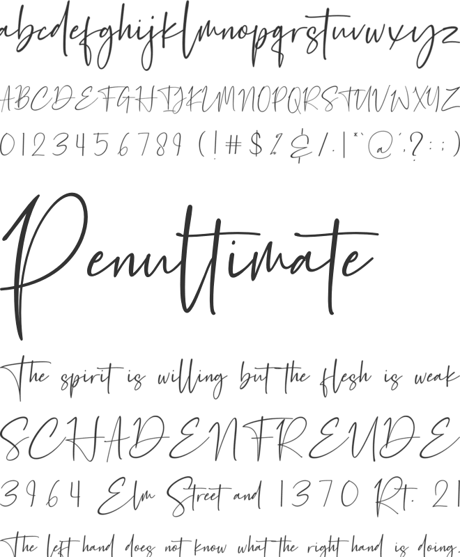 Petri Plate font preview