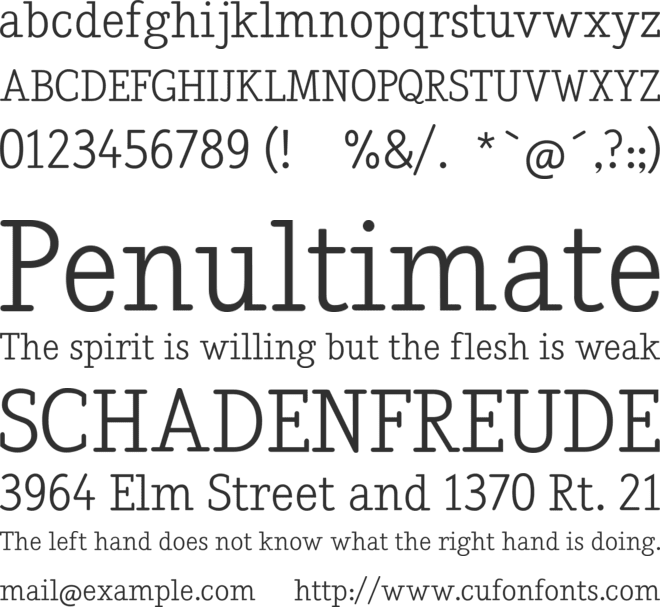 Nadia Serif font preview