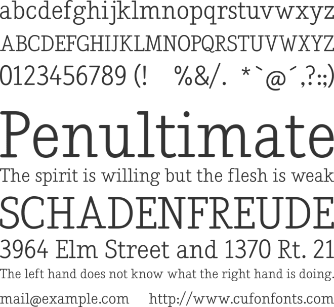 Nadia Serif font preview