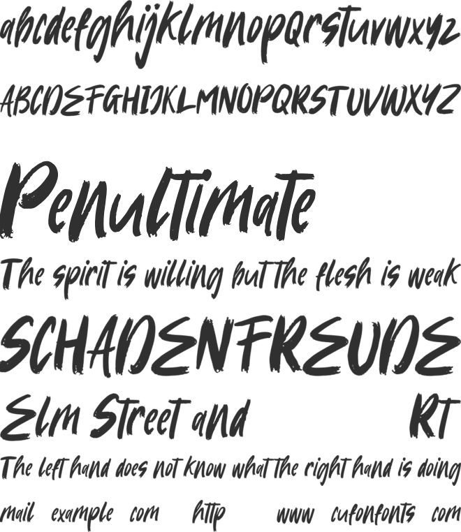 Amazing Books font preview