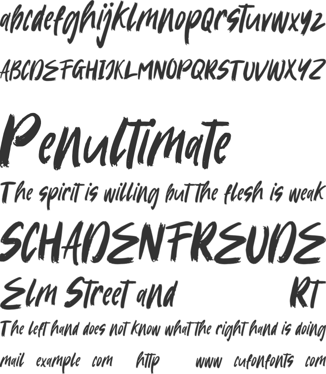 Amazing Books font preview