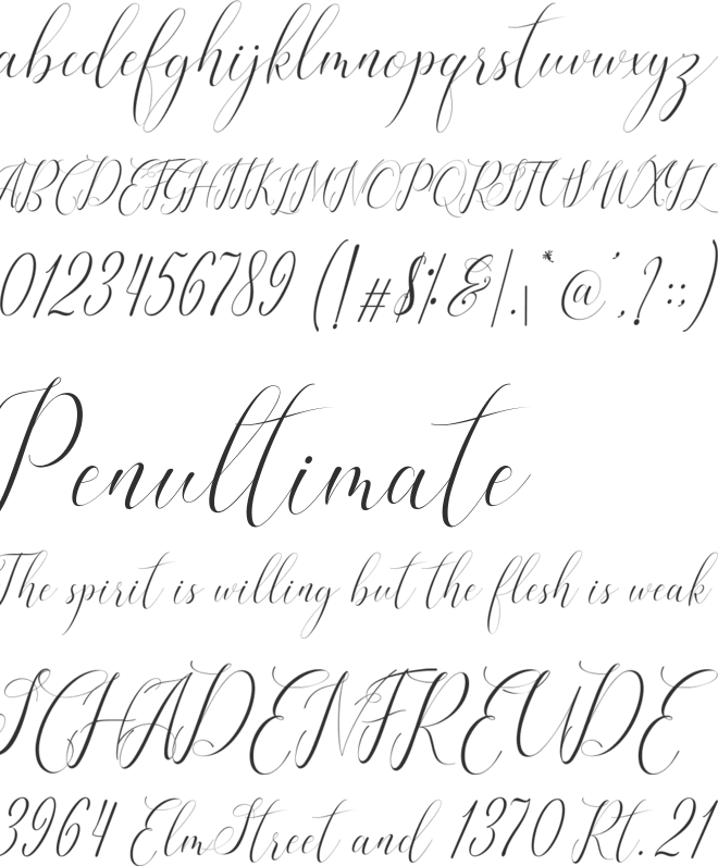 Ridiana font preview