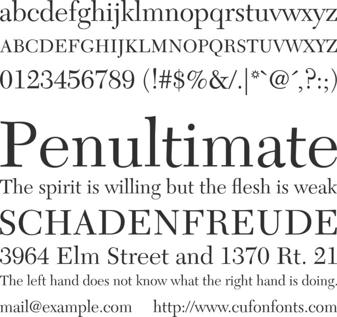 New Caledonia LT Std font preview