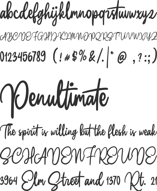 Claston Script font preview