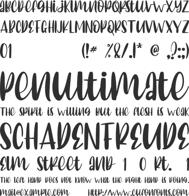 CAlifornia dolphin font preview