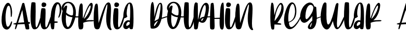 CAlifornia dolphin Regular font