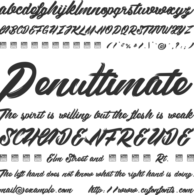 Black Swan 2_PersonalUseOnly font preview