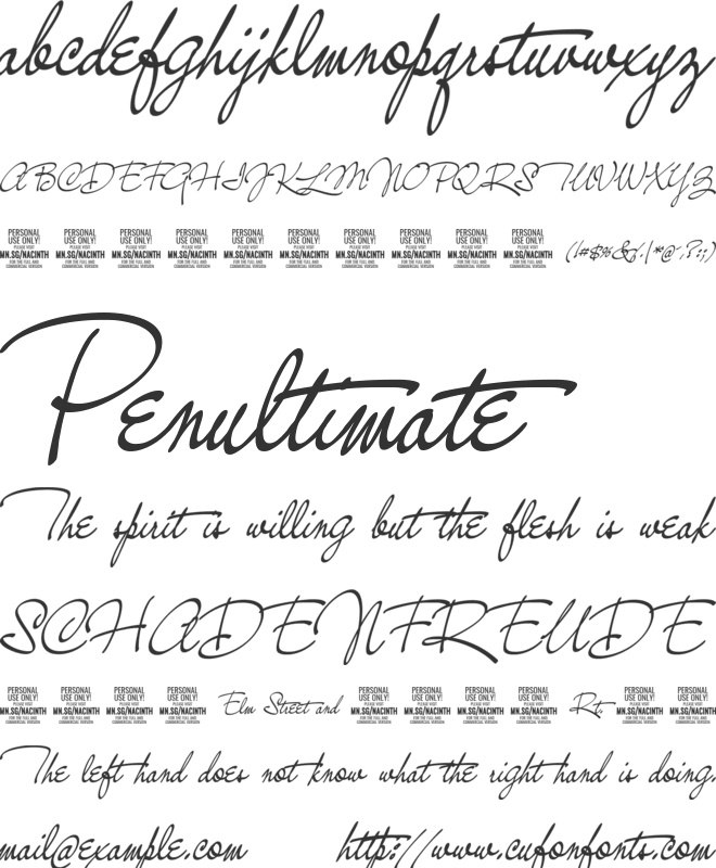 Nacinth PERSONAL USE font preview