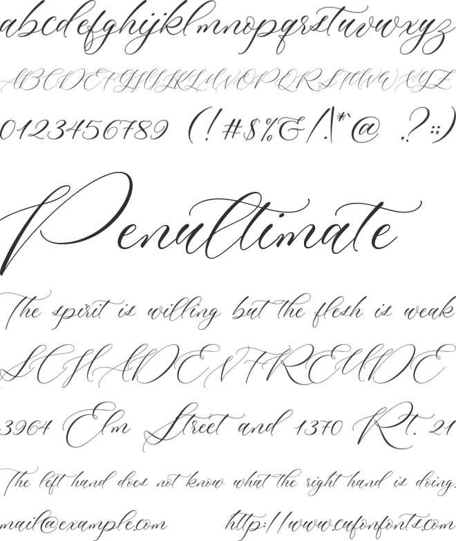 multiverse font preview