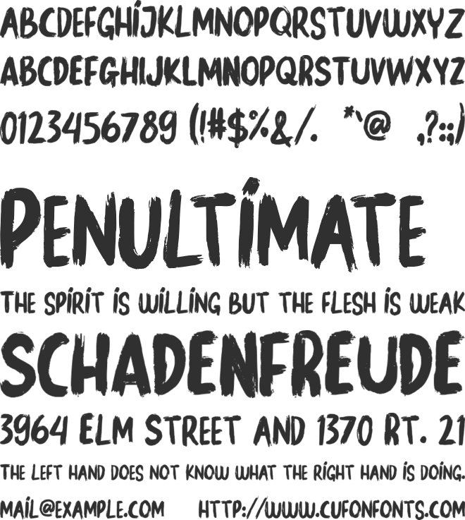 WILD BRUSH font preview