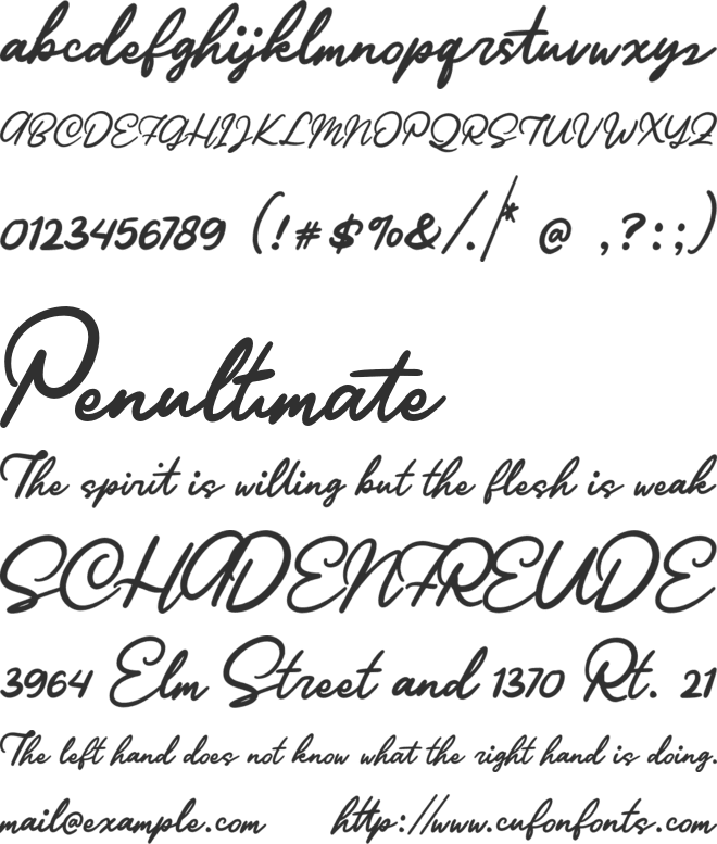 Ratilla Script font preview