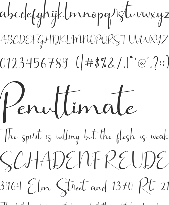 Brillia Calligraphy font preview