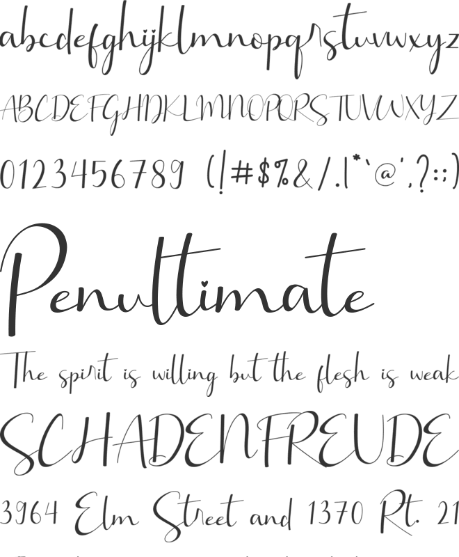 Brillia Calligraphy font preview