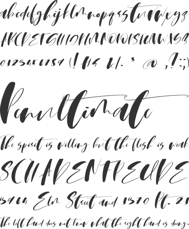 Martin Script Font font preview