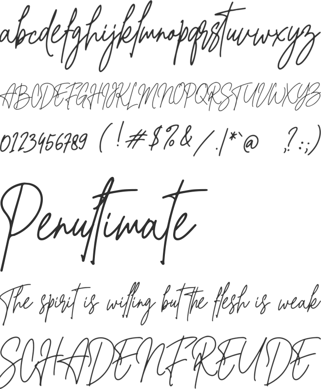 Christine Signature font preview