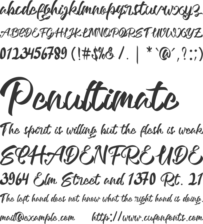 rockies font preview