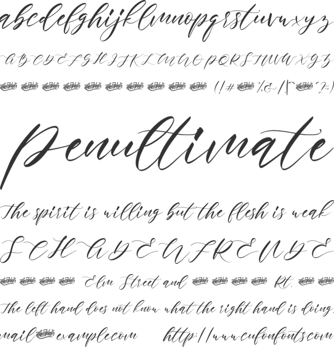 Rosadetta font preview