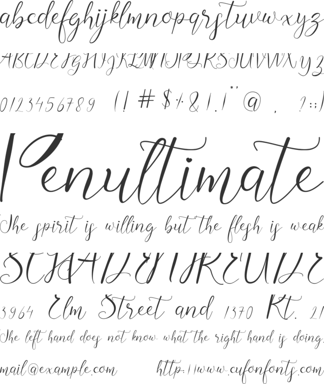 Micheline font preview