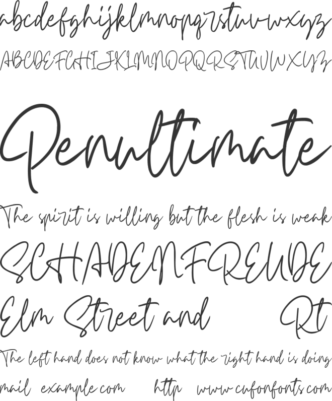 Carnollia Signature Personal Us font preview