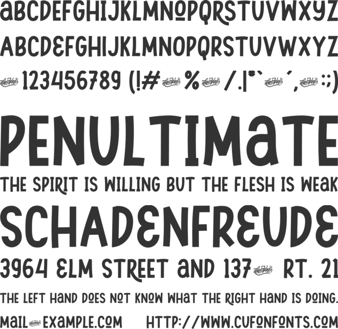 Swingsnug font preview