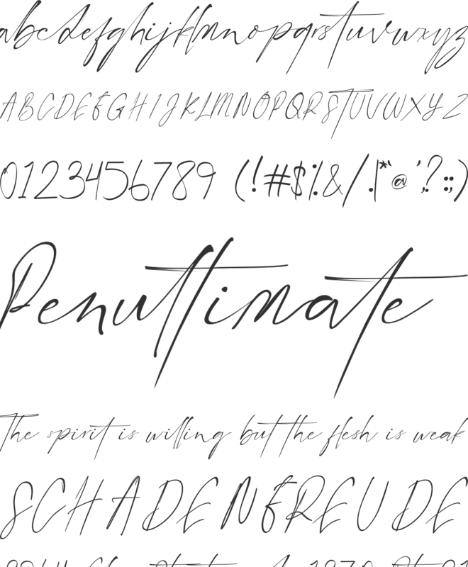 Littlehampton font preview