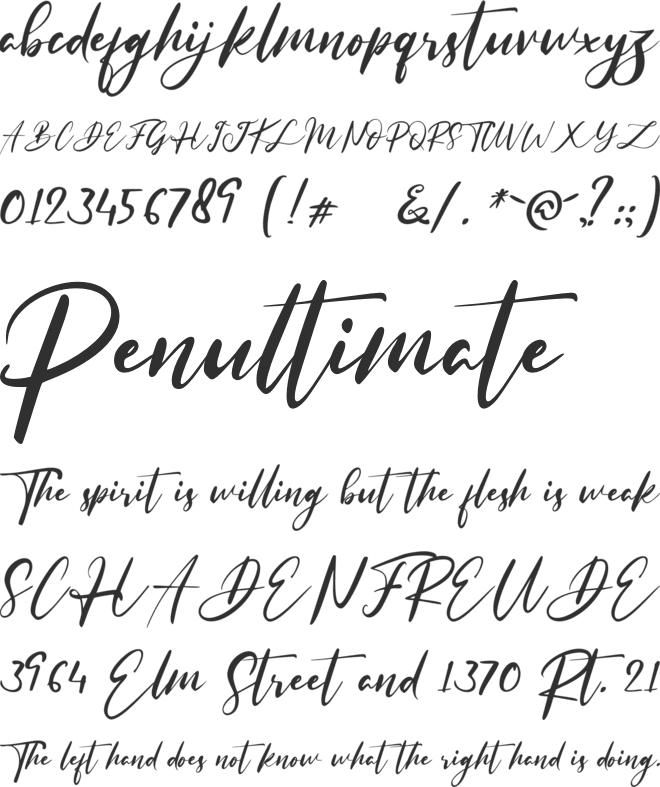 Really Distinct font preview