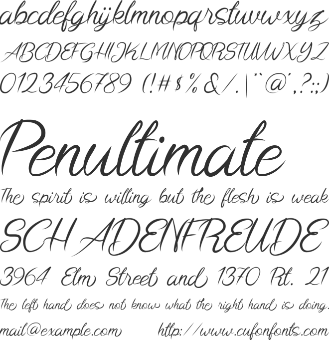 Brushline font preview