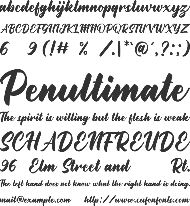 Rottweiler font preview