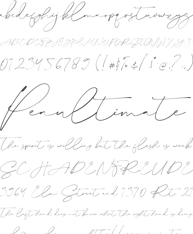 Billion font preview