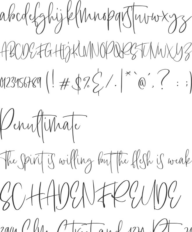 RaySat Personal Use font preview