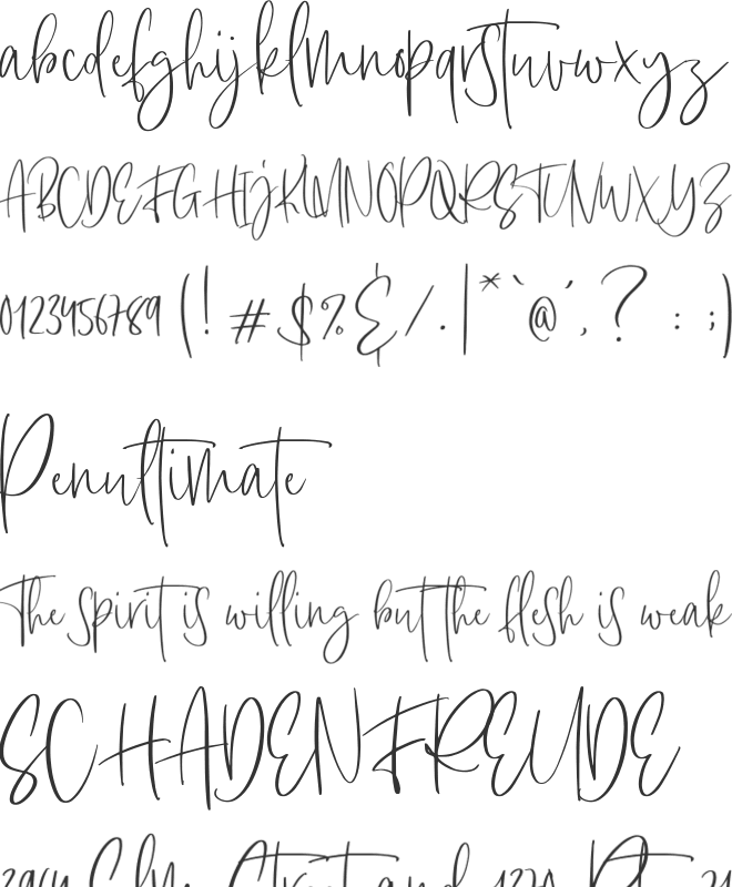 RaySat Personal Use font preview