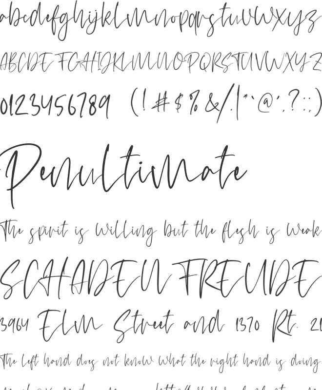 hello Jellita font preview