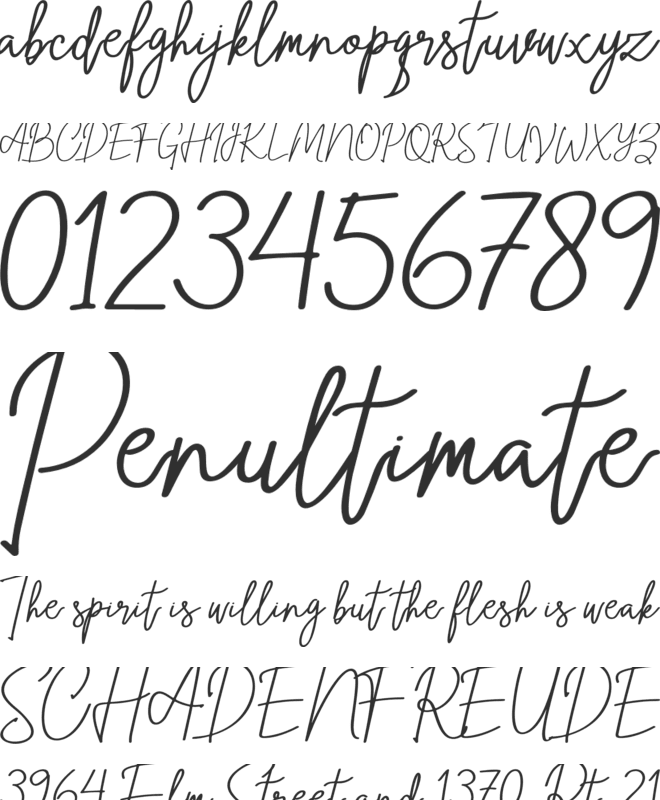 steelystico - PERSONAL USE ONLY font preview