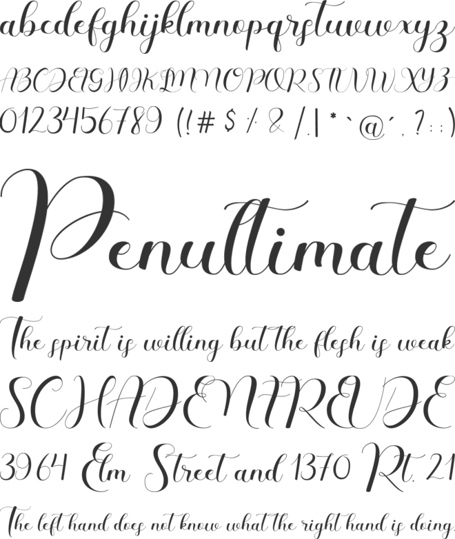 Castina font preview