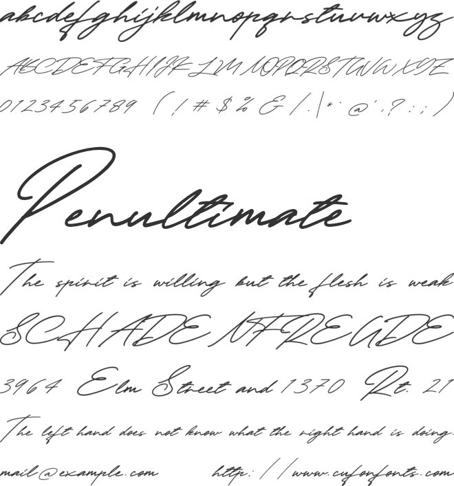 Taniya Relly font preview