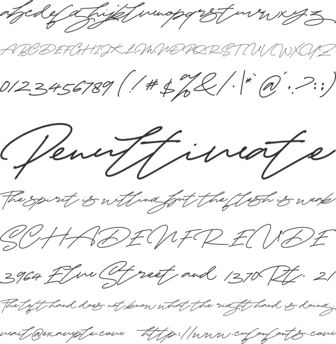 Cynthia  Blooms font preview