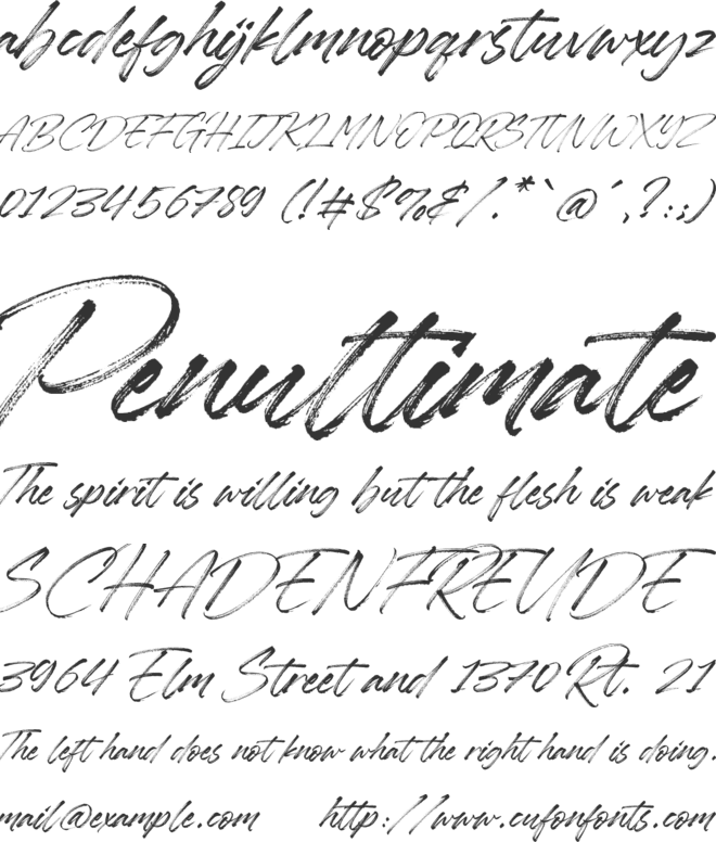 Rawless font preview