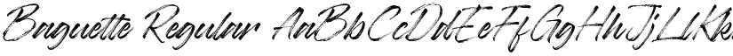 Baguette font download