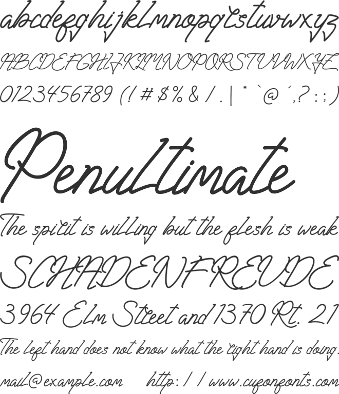 Huntsel Script font preview