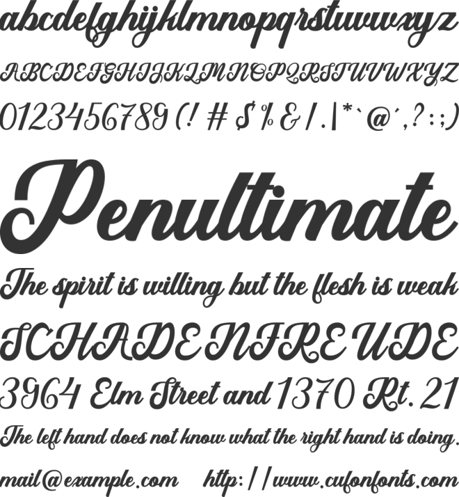 Austine Script font preview