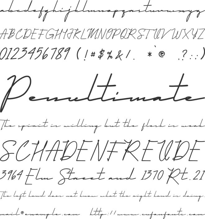 Qhueeny Signature font preview