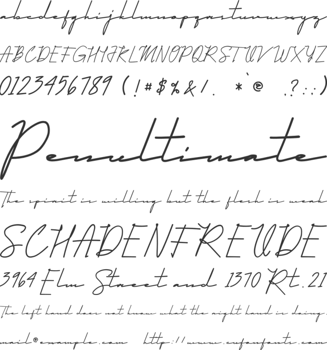 Qhueeny Signature font preview